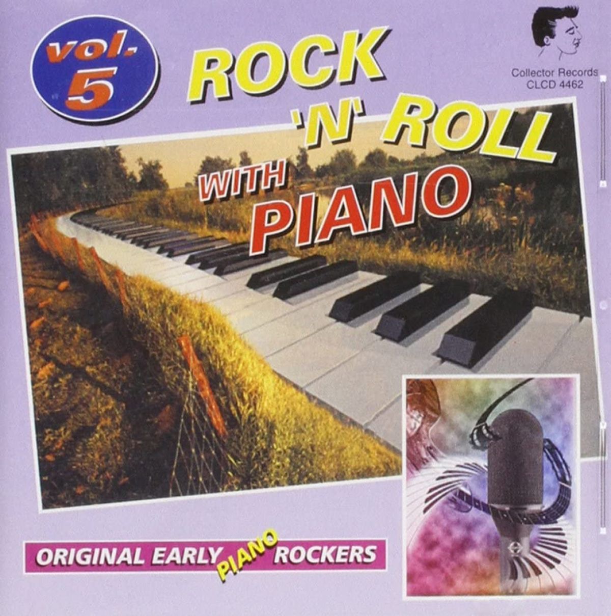 Afbeelding van Various Artists - Rock & Roll With Piano Vol.5