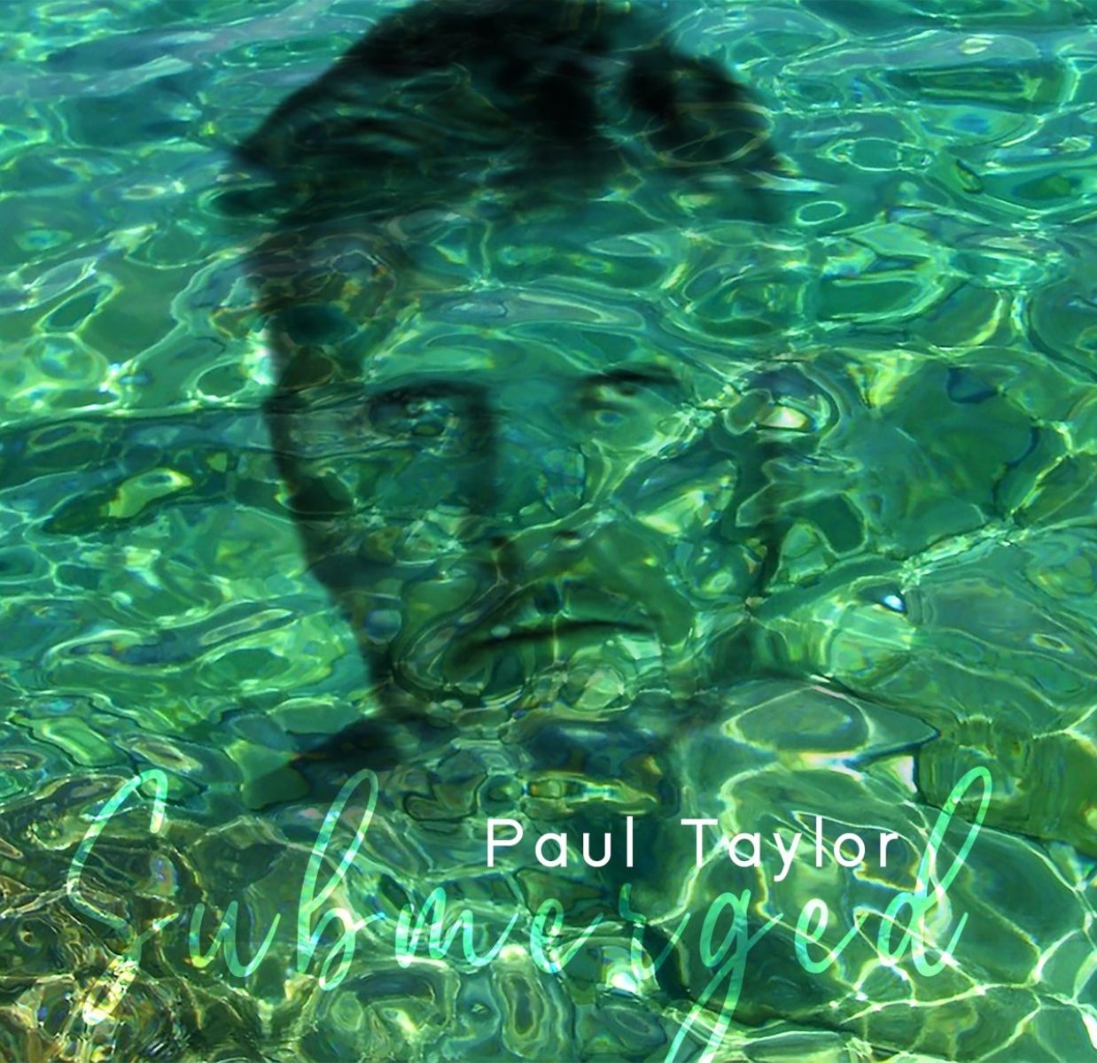 Afbeelding van Paul Taylor - Submerged
