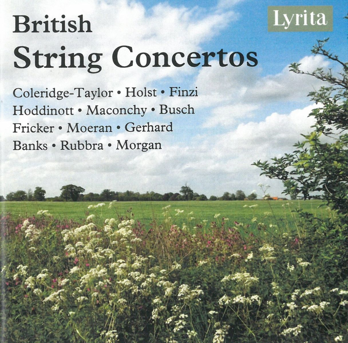 Afbeelding van Various Artists - British String Concertos
