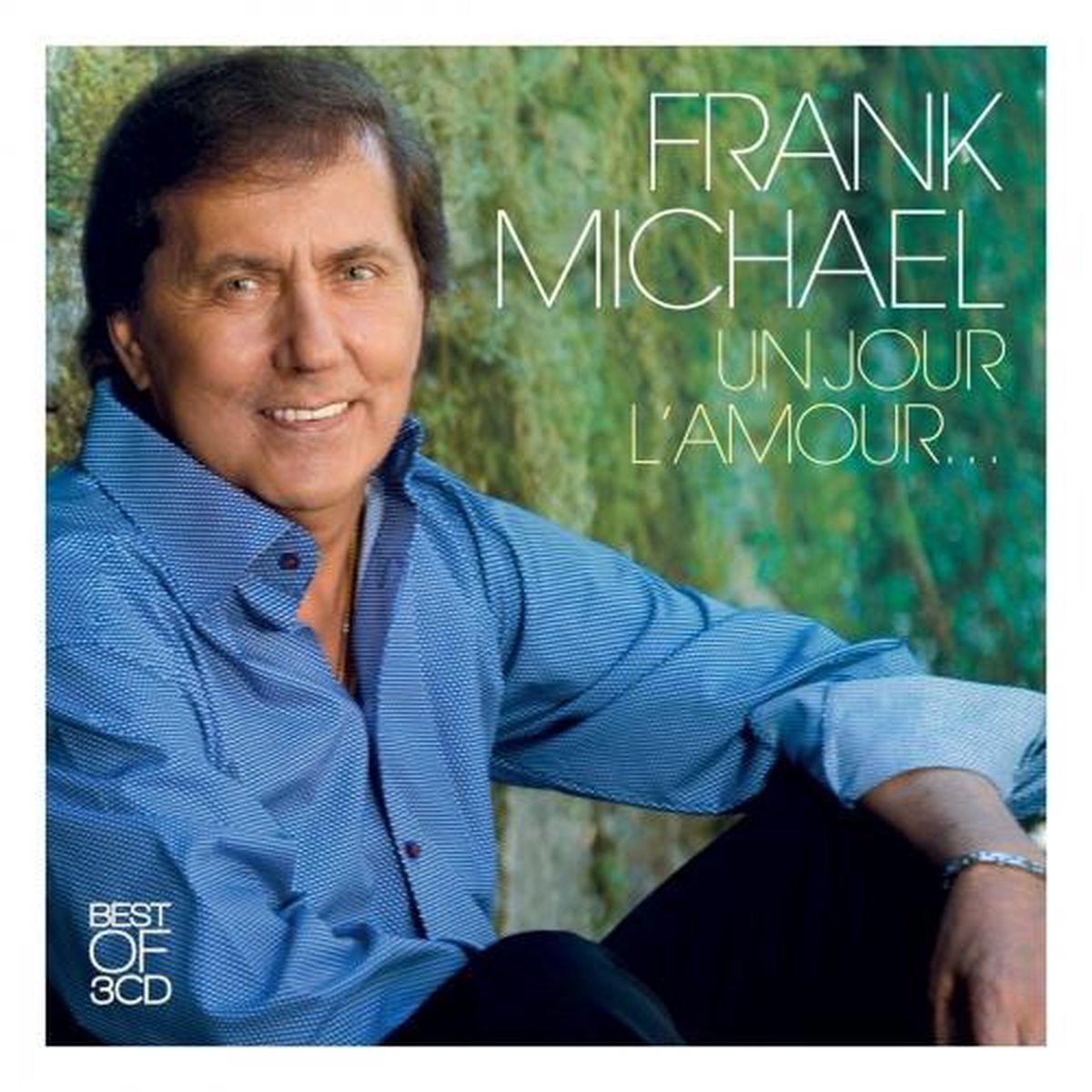 Afbeelding van Frank Michael - Un Jour L'amour...