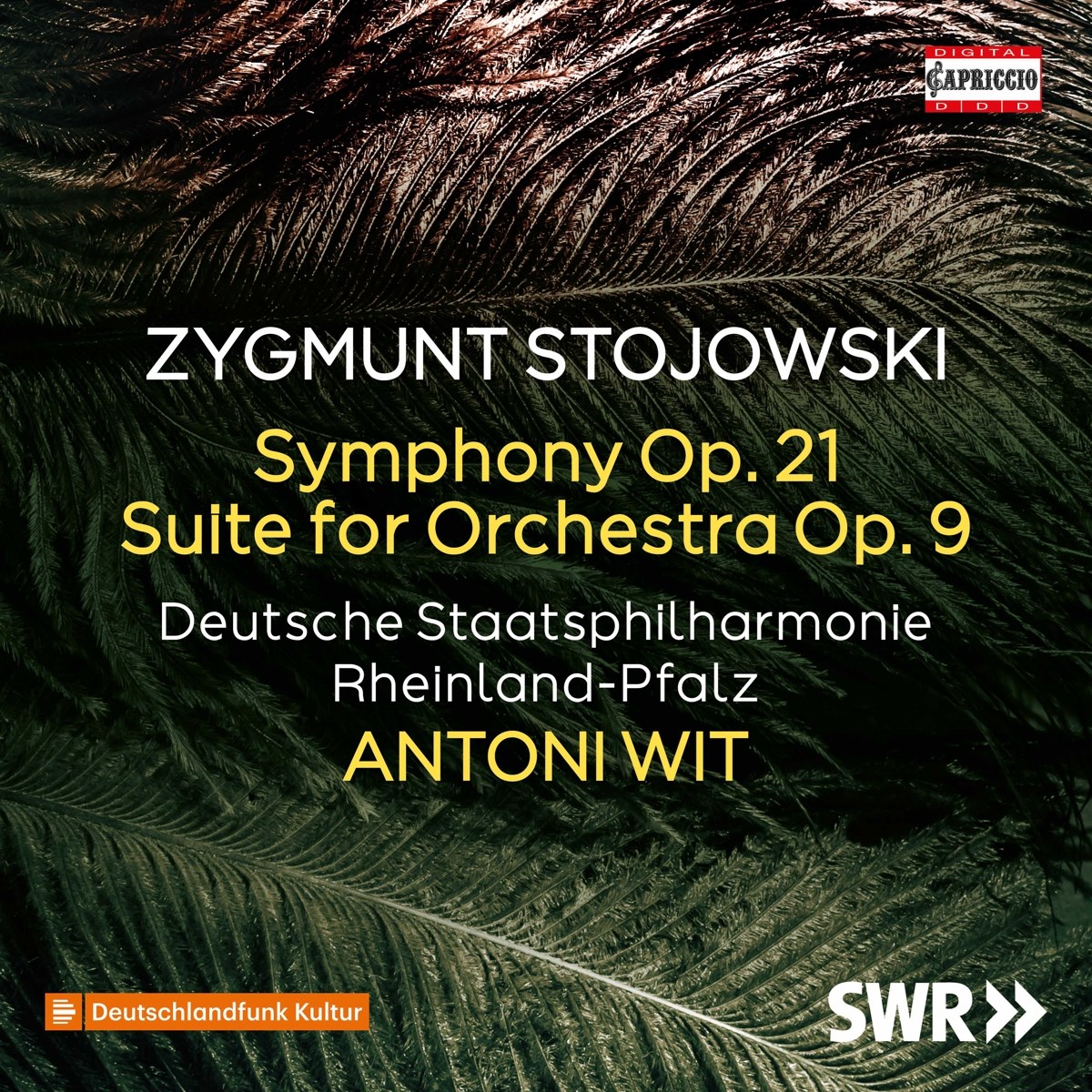 Afbeelding van Deutsche Staatsphilharmonie Rheinland-Pfalz, Antoni Wit - Stojowski: Symphony, Op. 21 | Suite For Orchestra, Op. 9