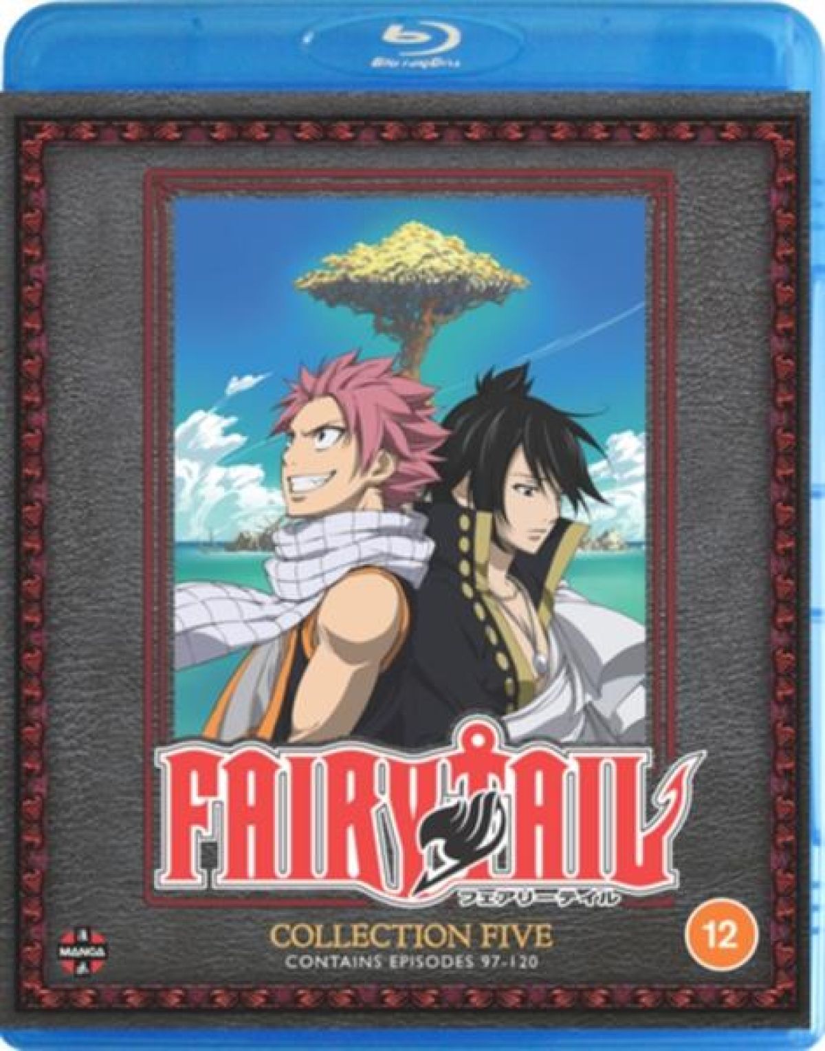 Afbeelding van Fairy Tail: Collection 5