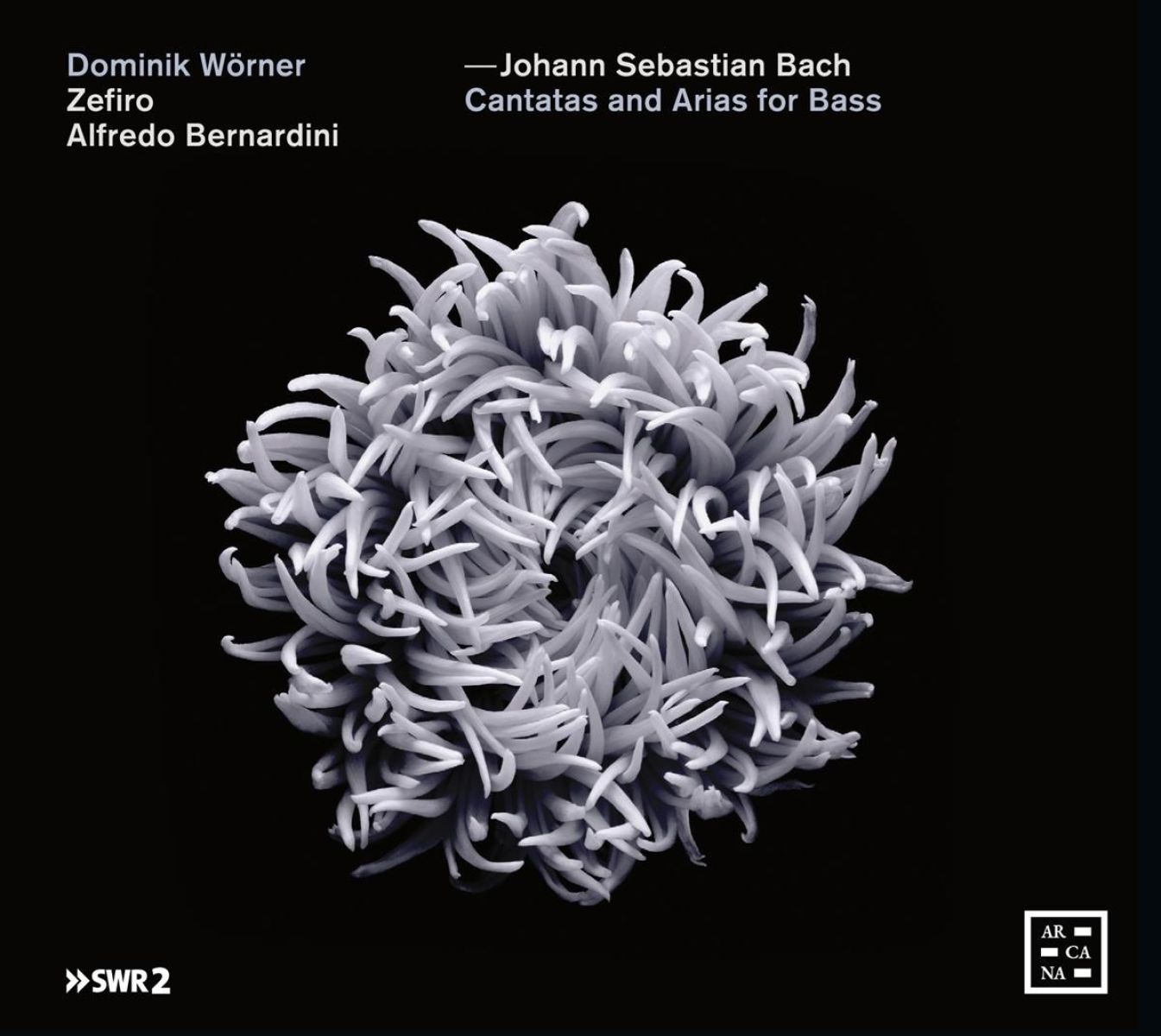 Afbeelding van Dominik Wörner, Zefiro, Alfredo Bernardini - J.S. Bach: Cantatas And Arias For Bass