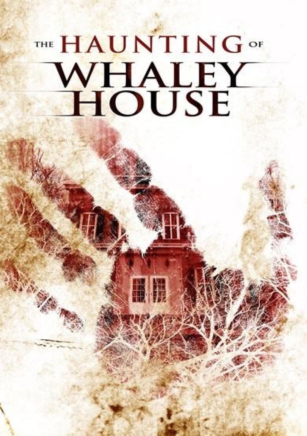 Afbeelding van Haunting of whaley house
