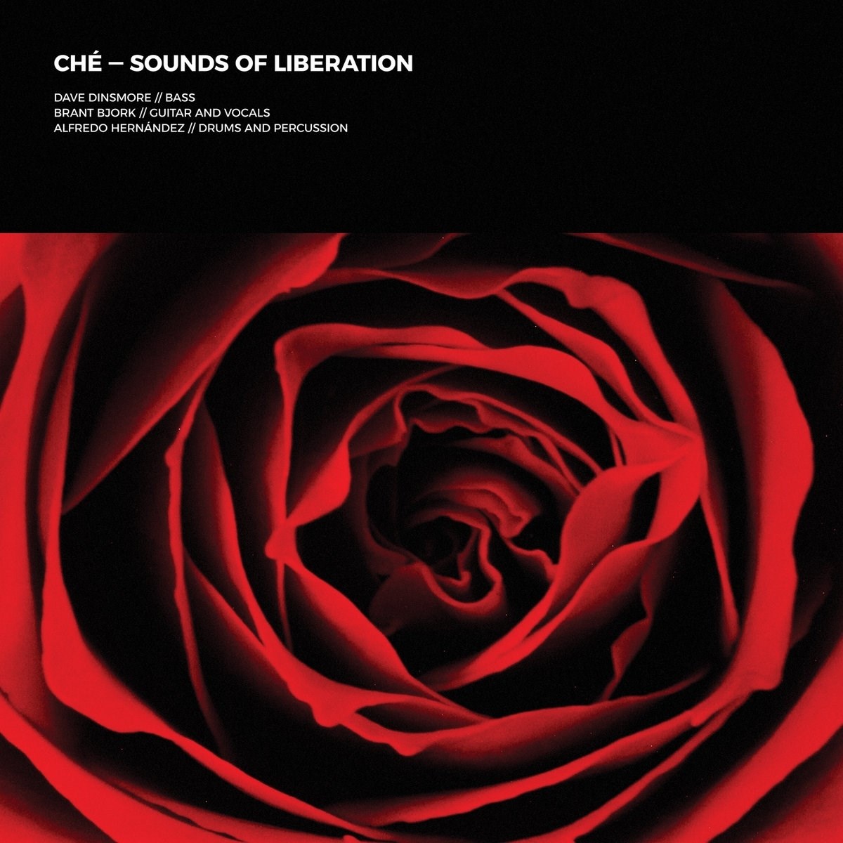 Afbeelding van Sounds Of Liberation