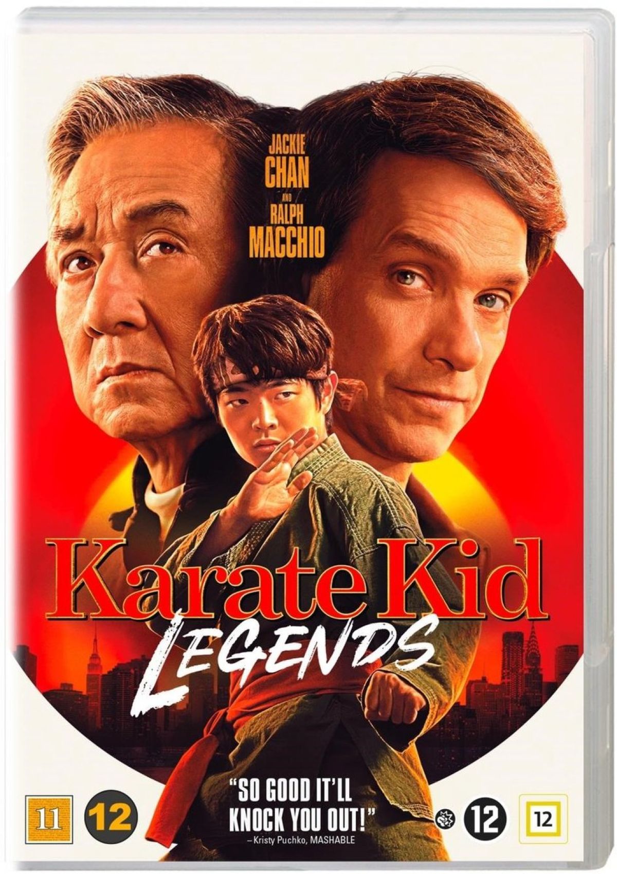 Afbeelding van Karate Kid - Legends