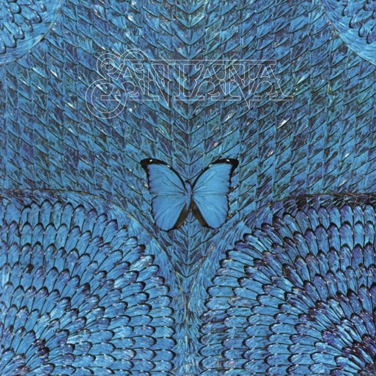 Afbeelding van Santana - Borboletta