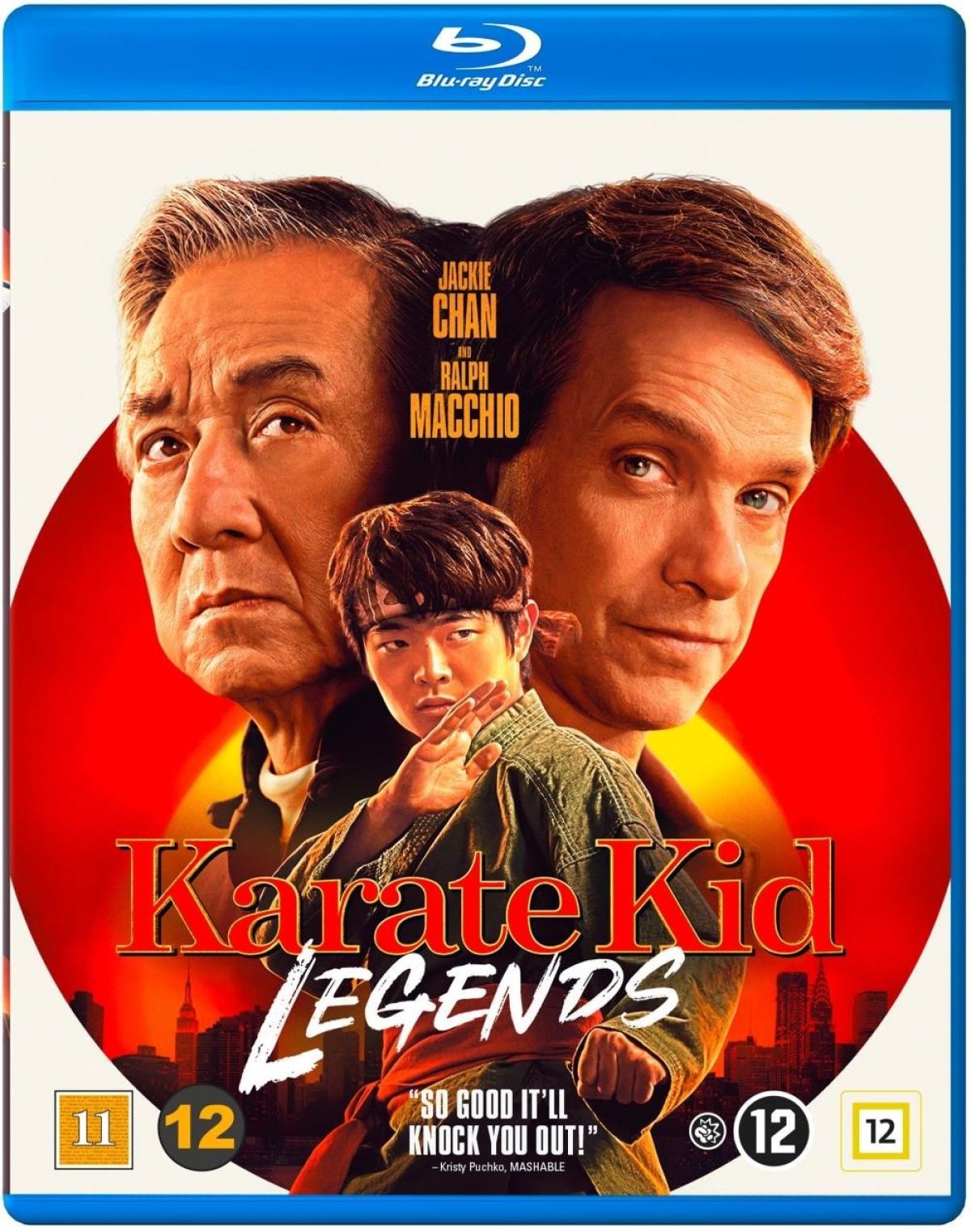 Afbeelding van Karate Kid - Legends