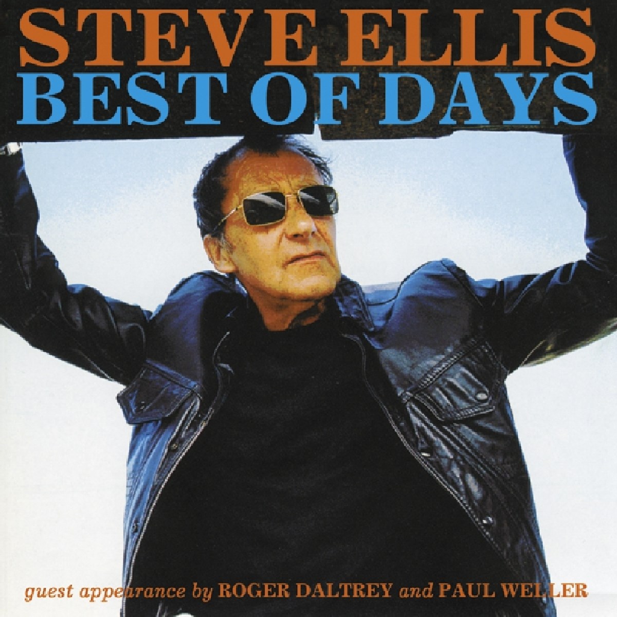 Afbeelding van Steve Ellis - Best Of Days