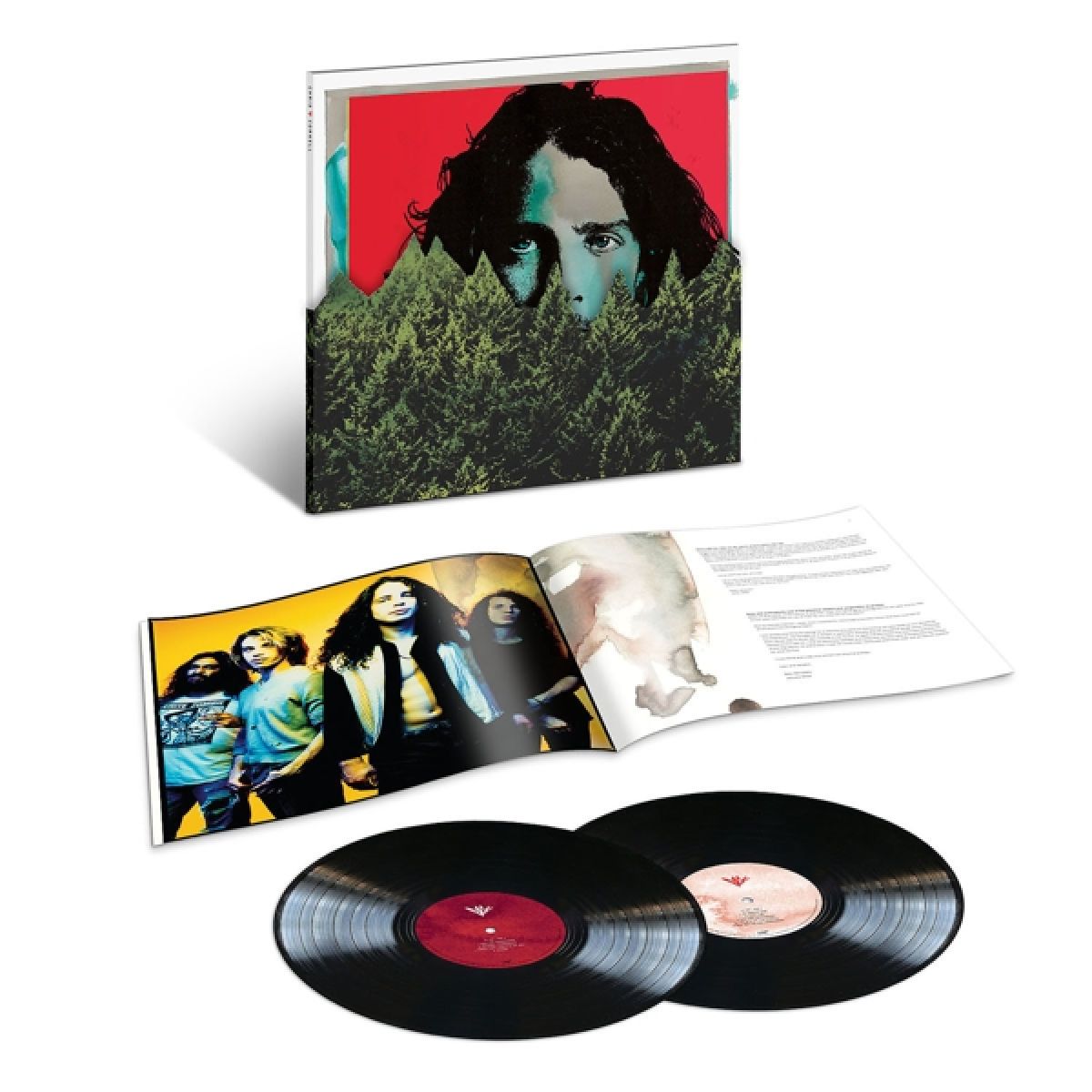 Afbeelding van Chris Cornell Anthology