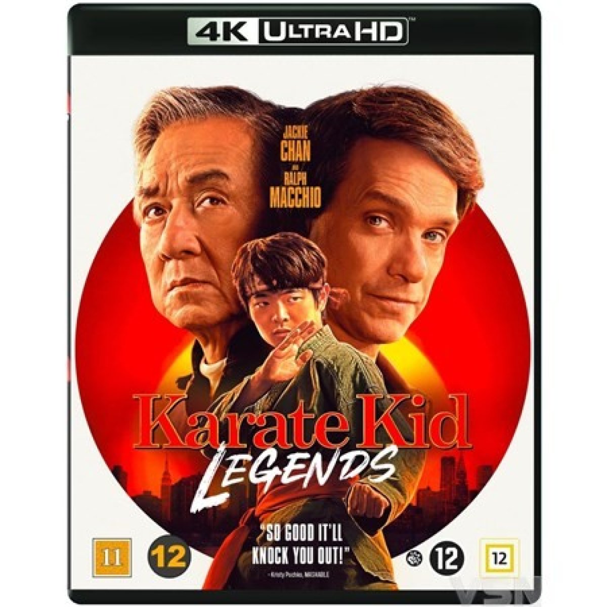 Afbeelding van Karate Kid - Legends