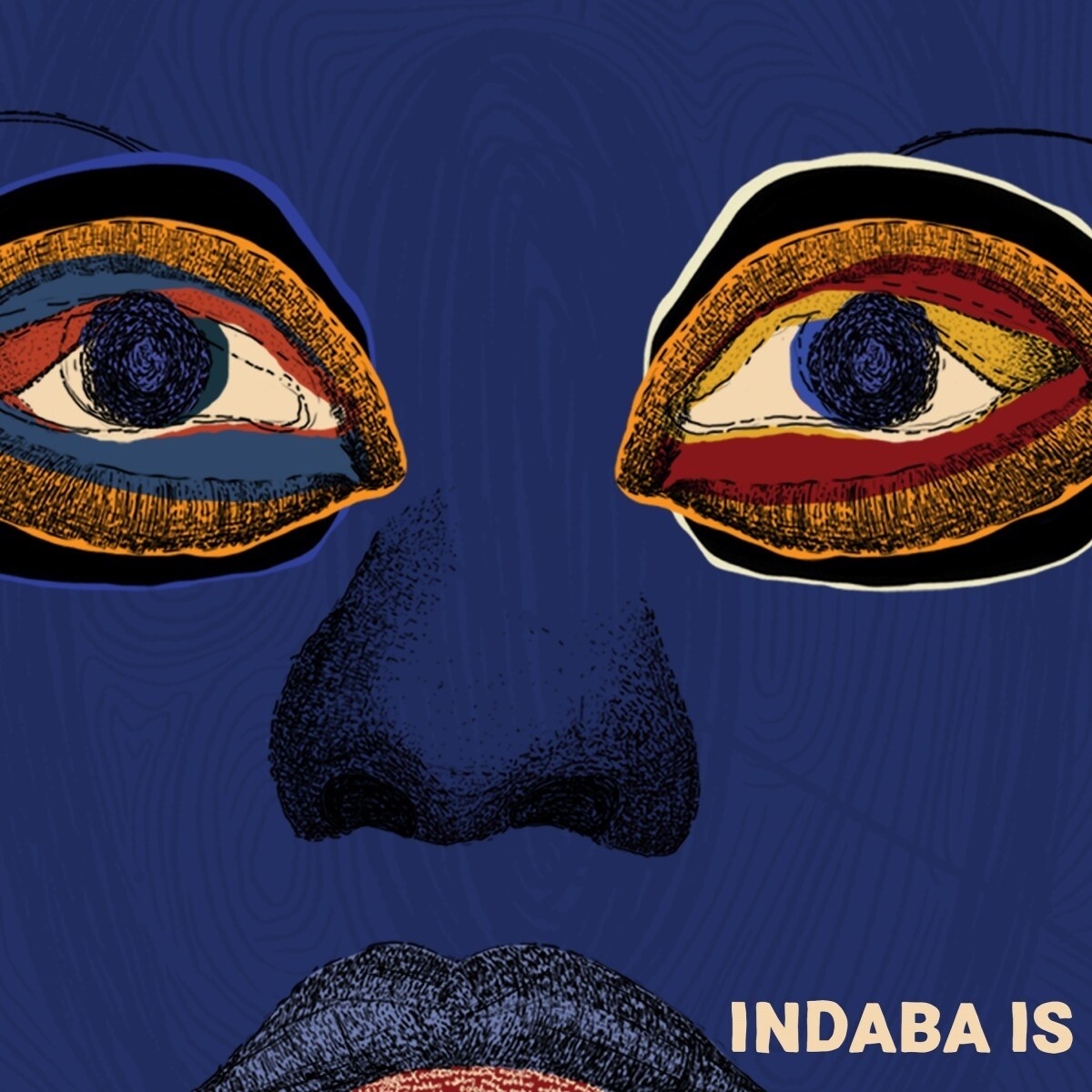 Afbeelding van Various Artists - Indaba Is