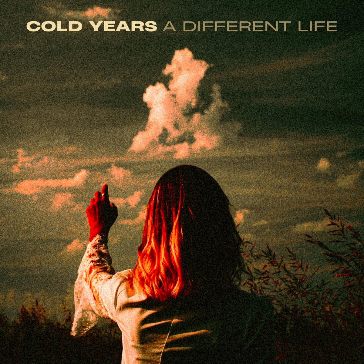 Afbeelding van Cold Years - A Different Life