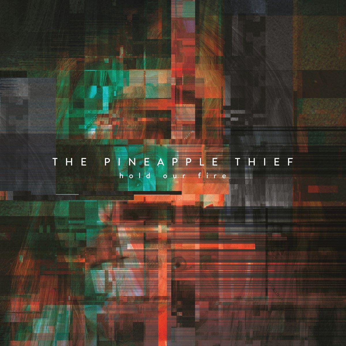 Afbeelding van Pineapple Thief - Hold Our Fire