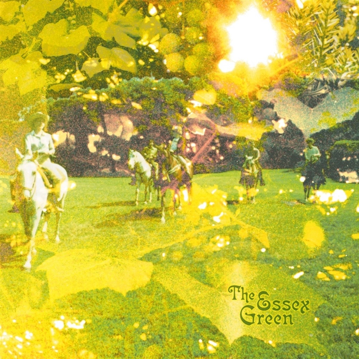 Afbeelding van The Essex Green - Everything Is Green