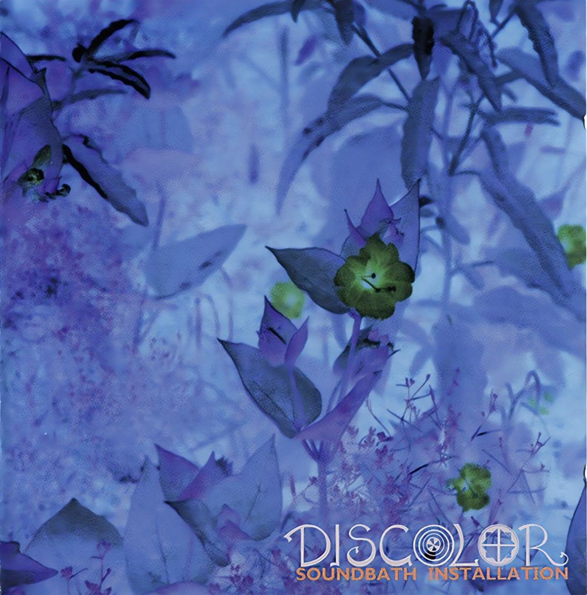 Discolor - Soundbath Installation