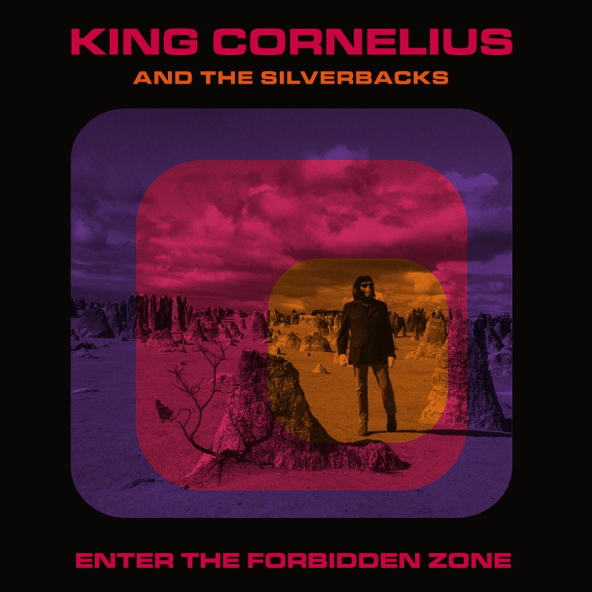 Afbeelding van King Cornelius & The Silverbacks - Enter The Forbidden Zone