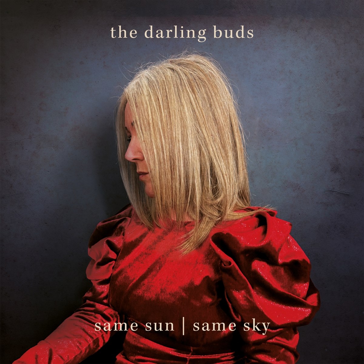 Afbeelding van The Darling Buds - Same Sun / Same Sky