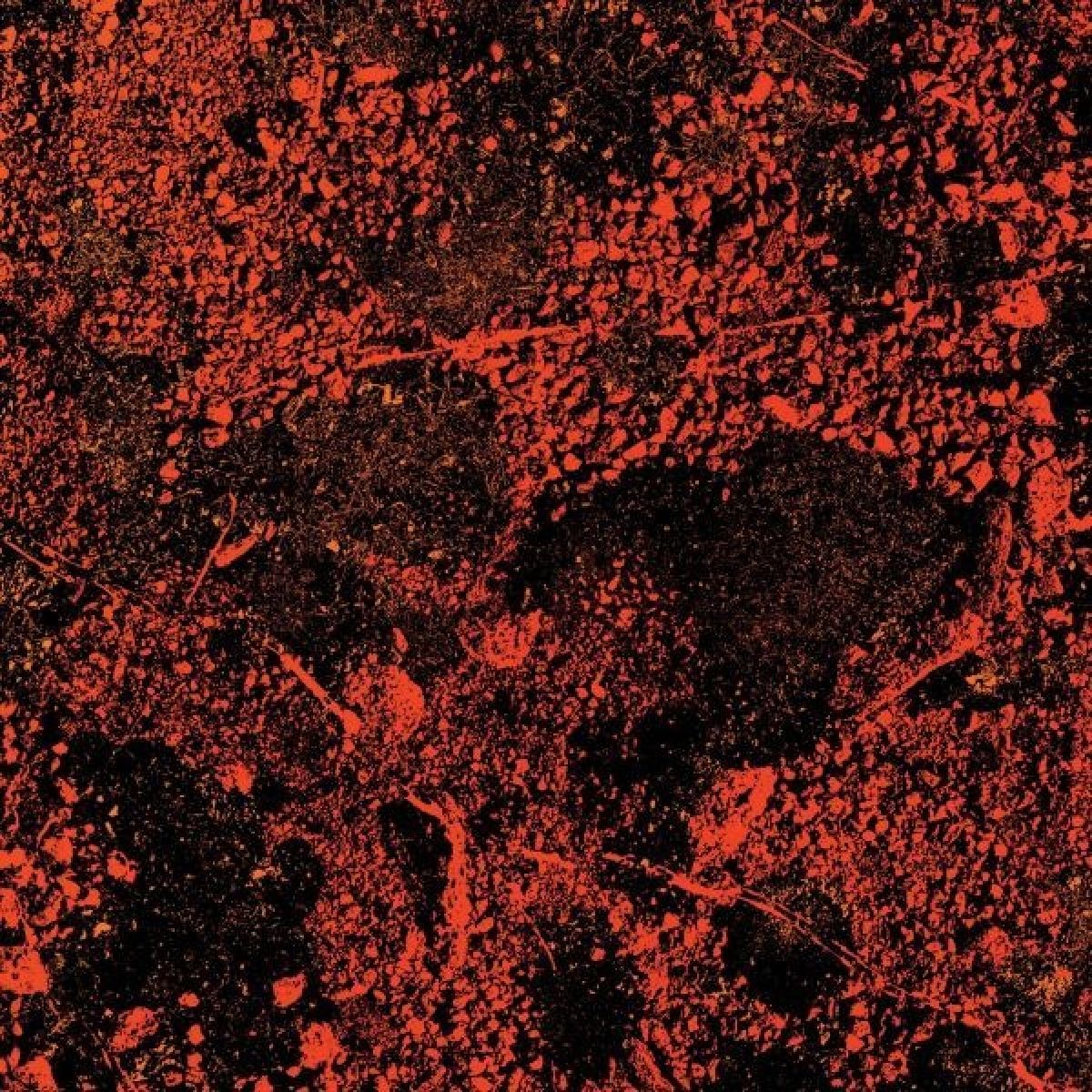 Afbeelding van Murder Of The Universe