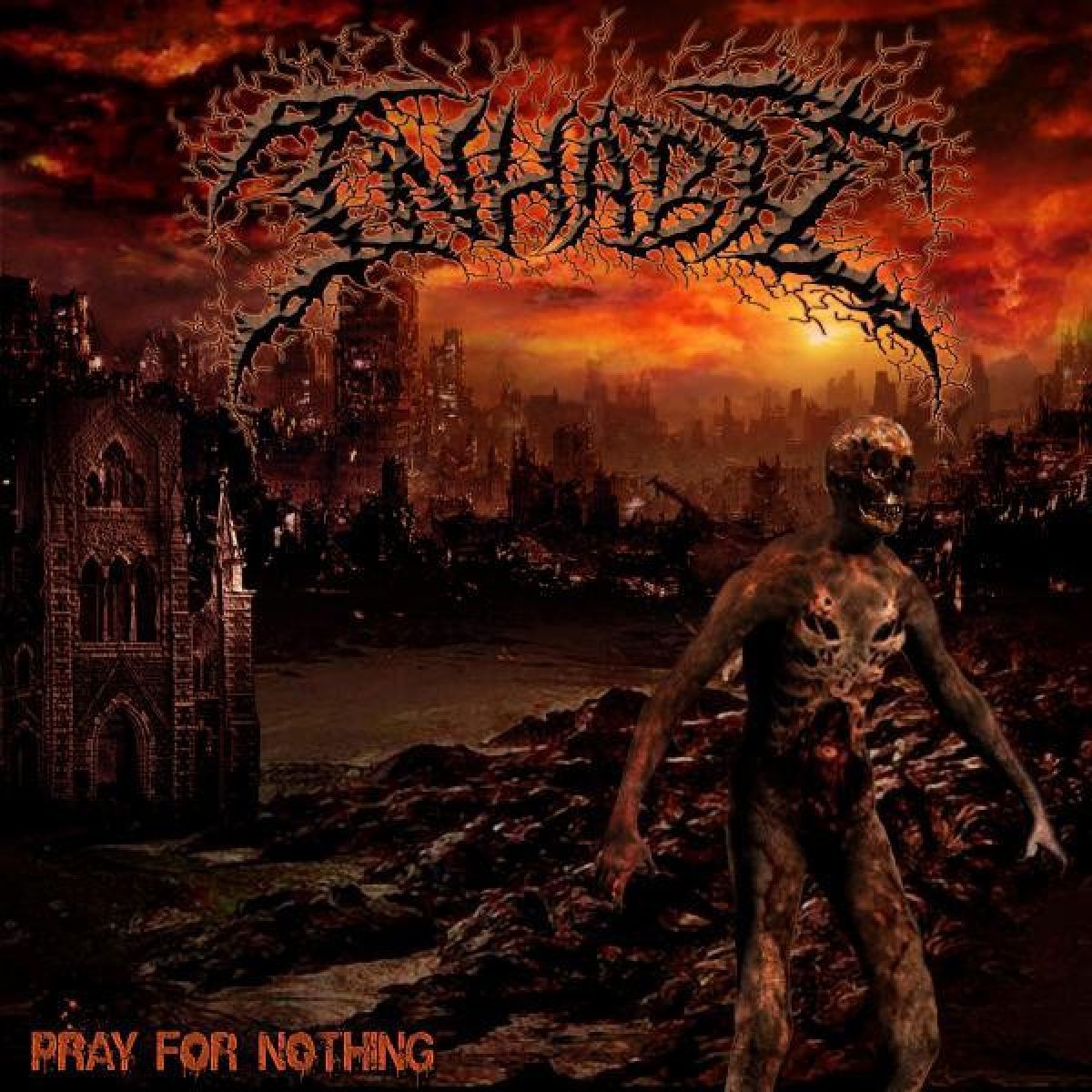 Afbeelding van Inhabit - Pray For Nothing