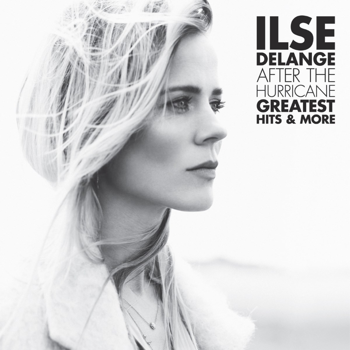 Afbeelding van Ilse Delange - After The Hurricane: Greatest Hits & More