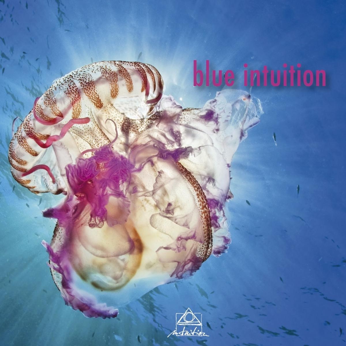 Afbeelding van Various Artists - Blue Intuition