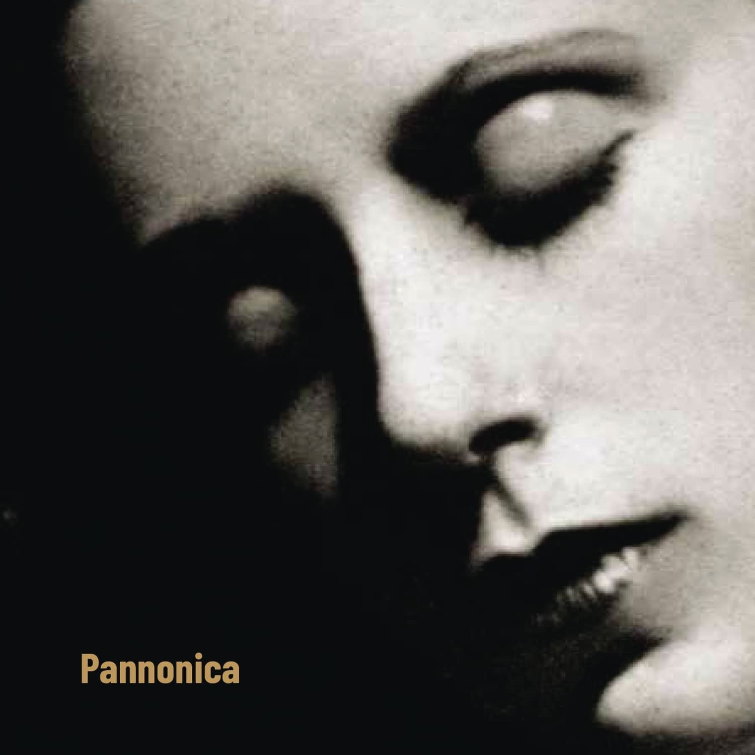 Afbeelding van Various Artists - Pannonica - A Tribute To Pannonica