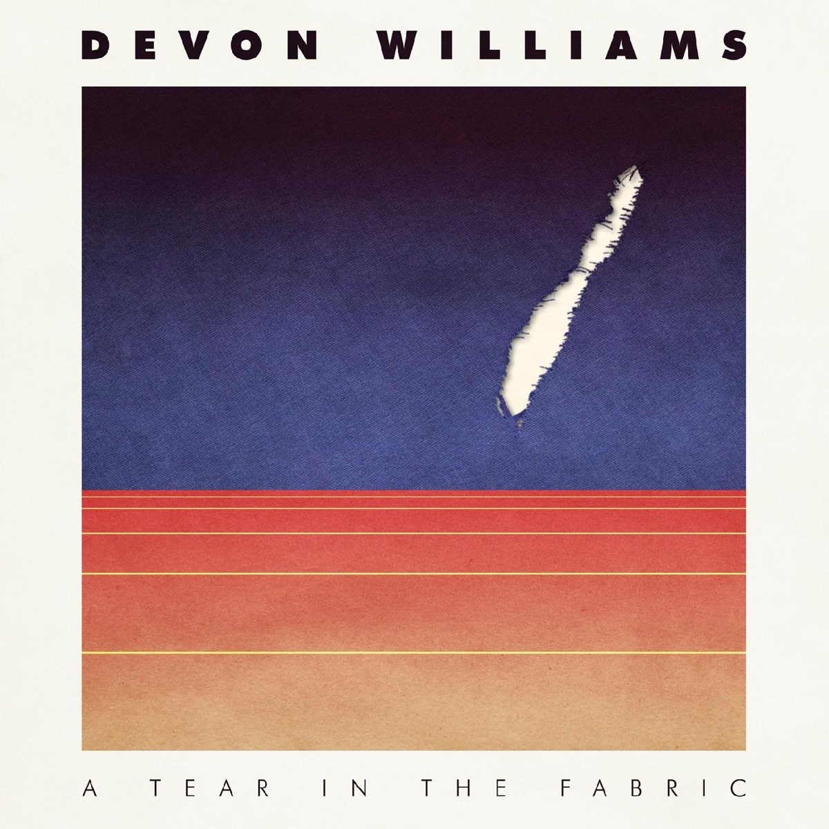 Afbeelding van Devon Williams - A Tear In The Fabric