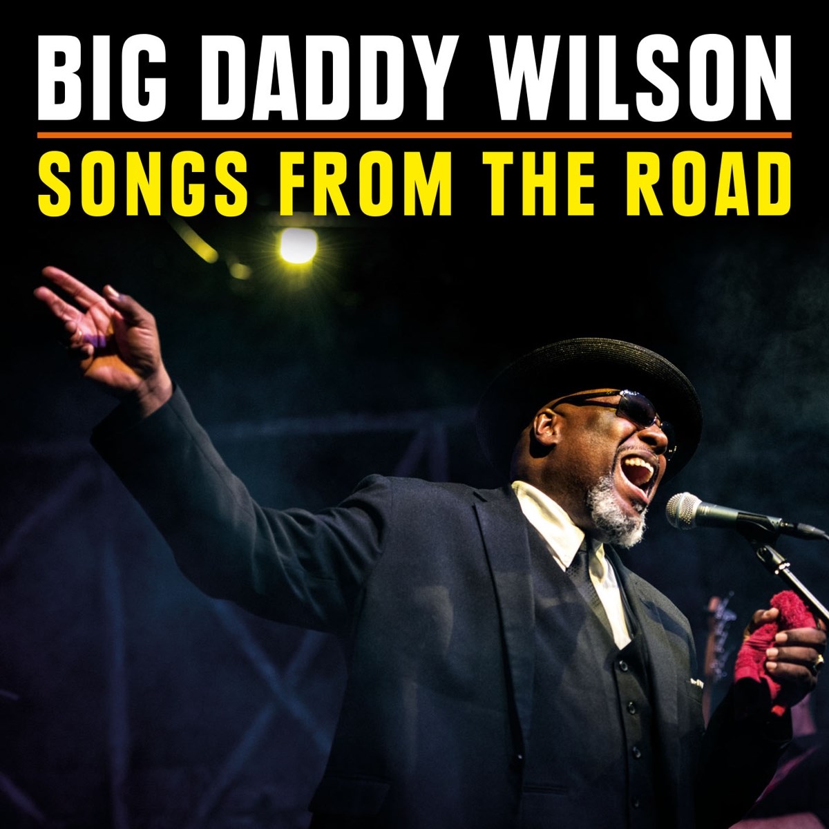 Afbeelding van Big Daddy Wilson - Songs From The Road