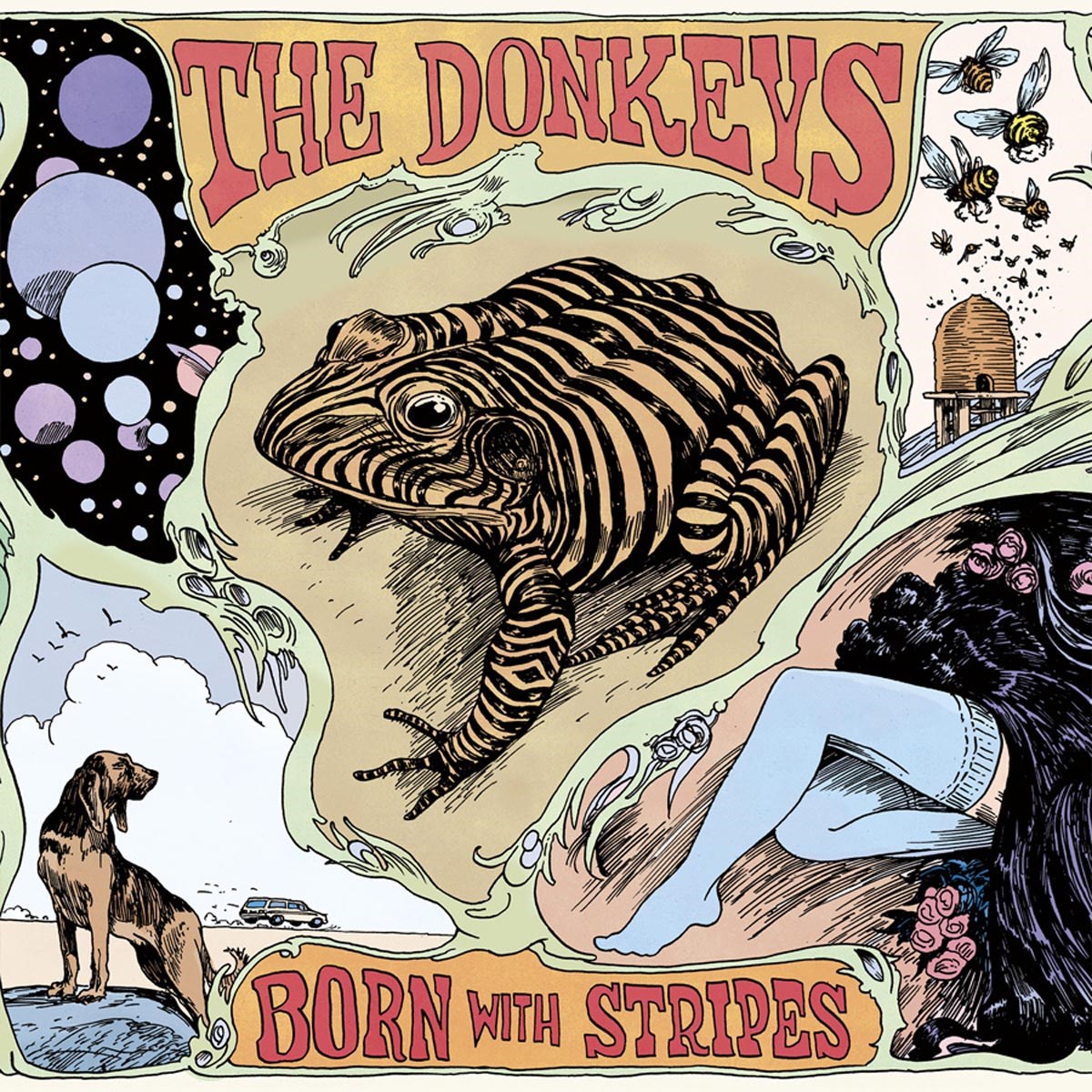 Afbeelding van The Donkeys - Born With Stripes