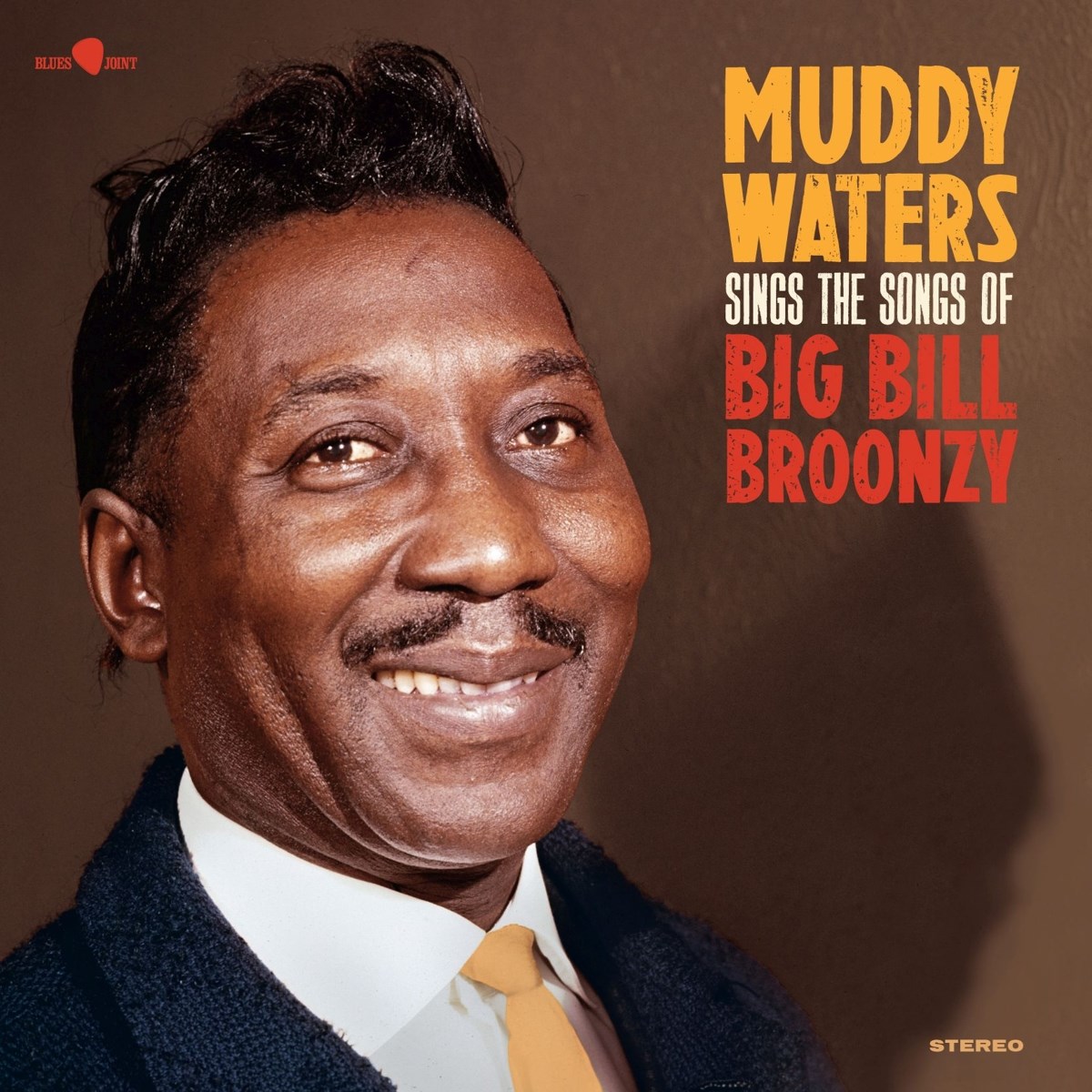 Afbeelding van Muddy Waters - Muddy Waters Sings The Songs Of Big Bill Broonzy