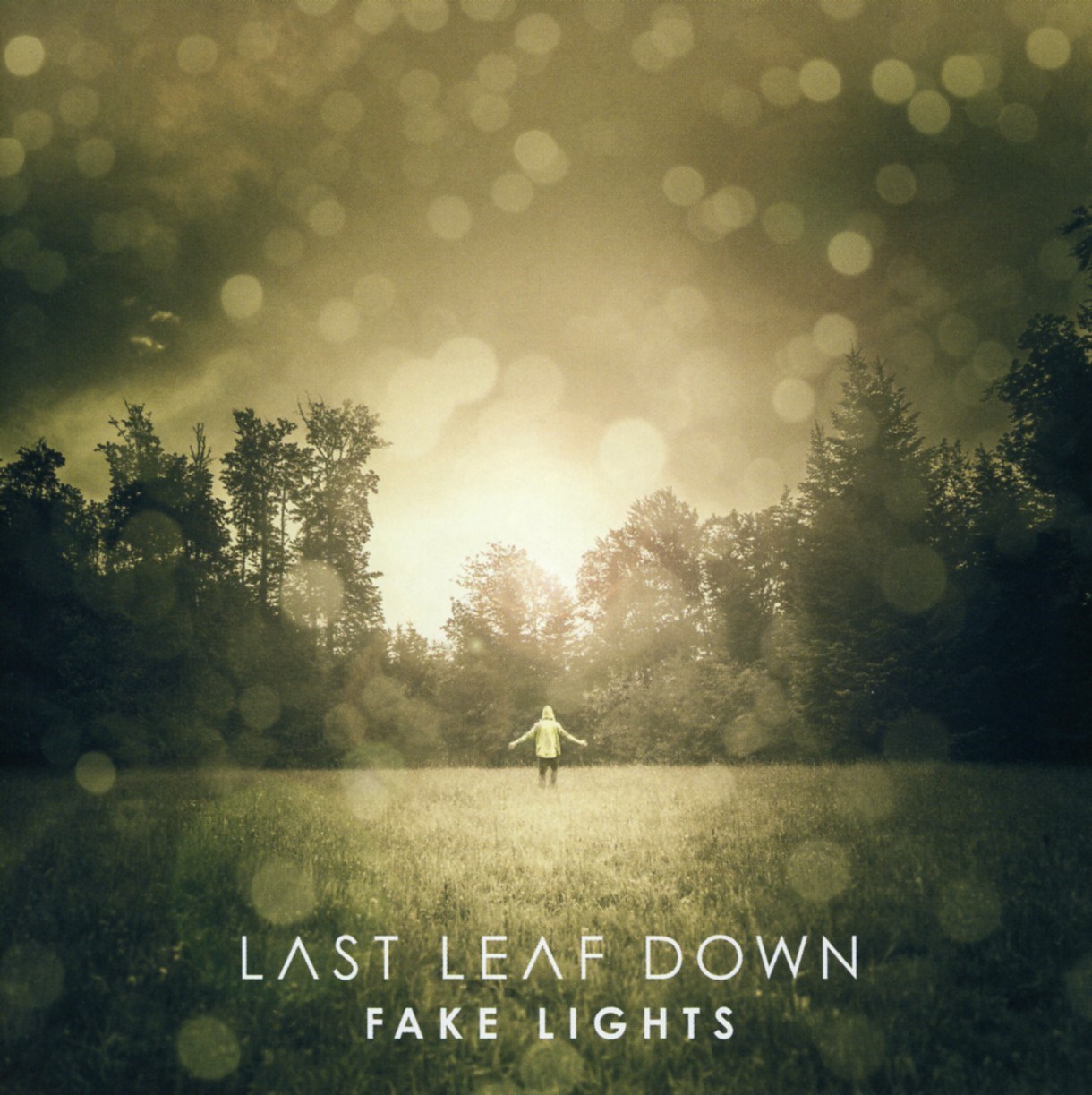 Last Leaf Down - Fake Lights