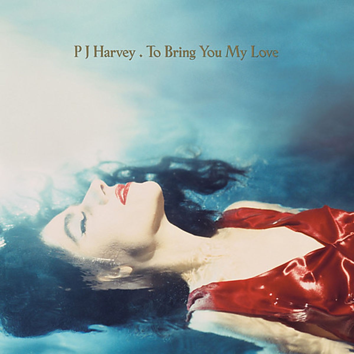 Afbeelding van PJ Harvey - To Bring You My Love