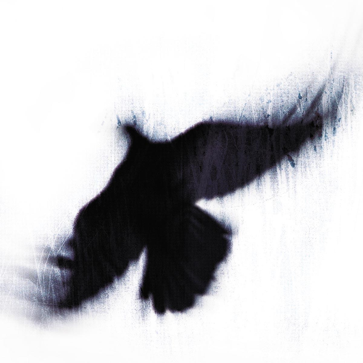Afbeelding van Blueneck - The Fallen Host