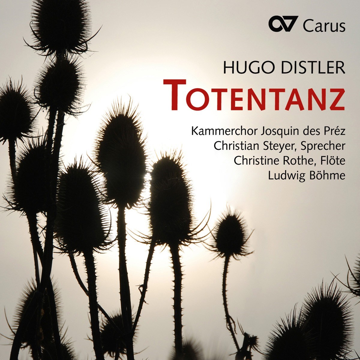 Afbeelding van Kammerchor Josquin des Préz, Christian Steyer, Christine Rothe, Ludwig Böhme - Totentanz