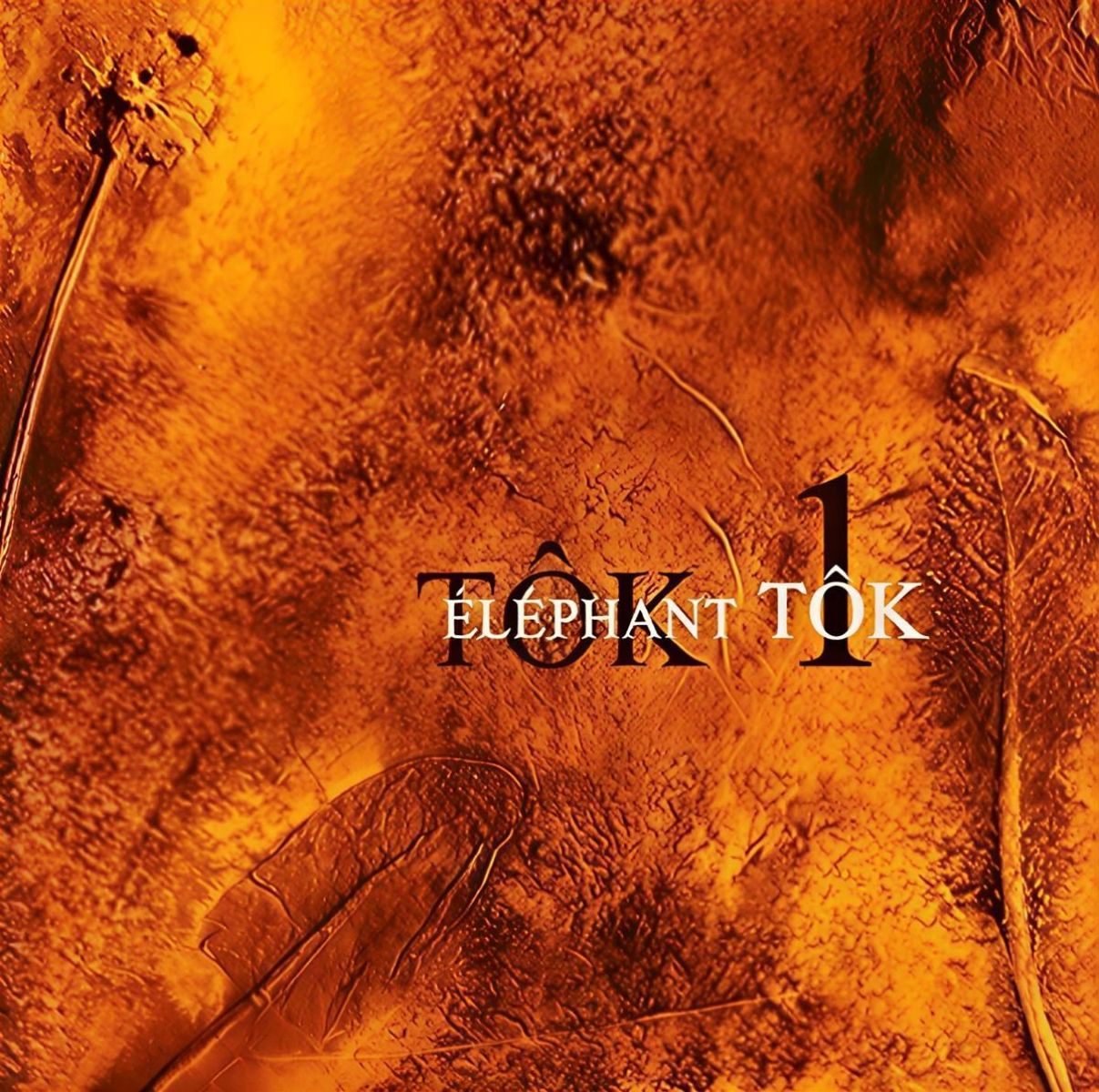 Afbeelding van Elephant Tôk - Tôk 1