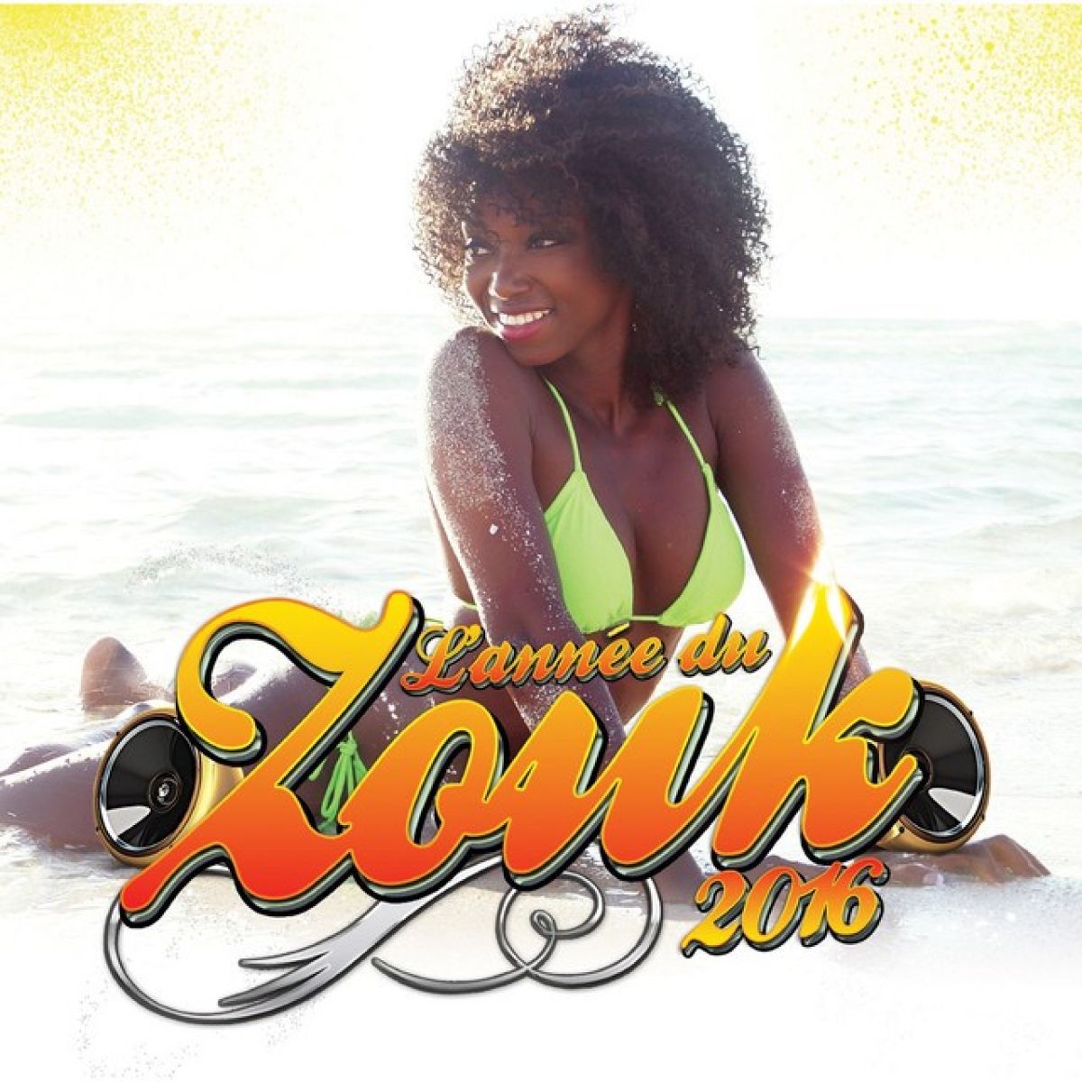 Afbeelding van Various Artists - L'Année Du Zouk 2016