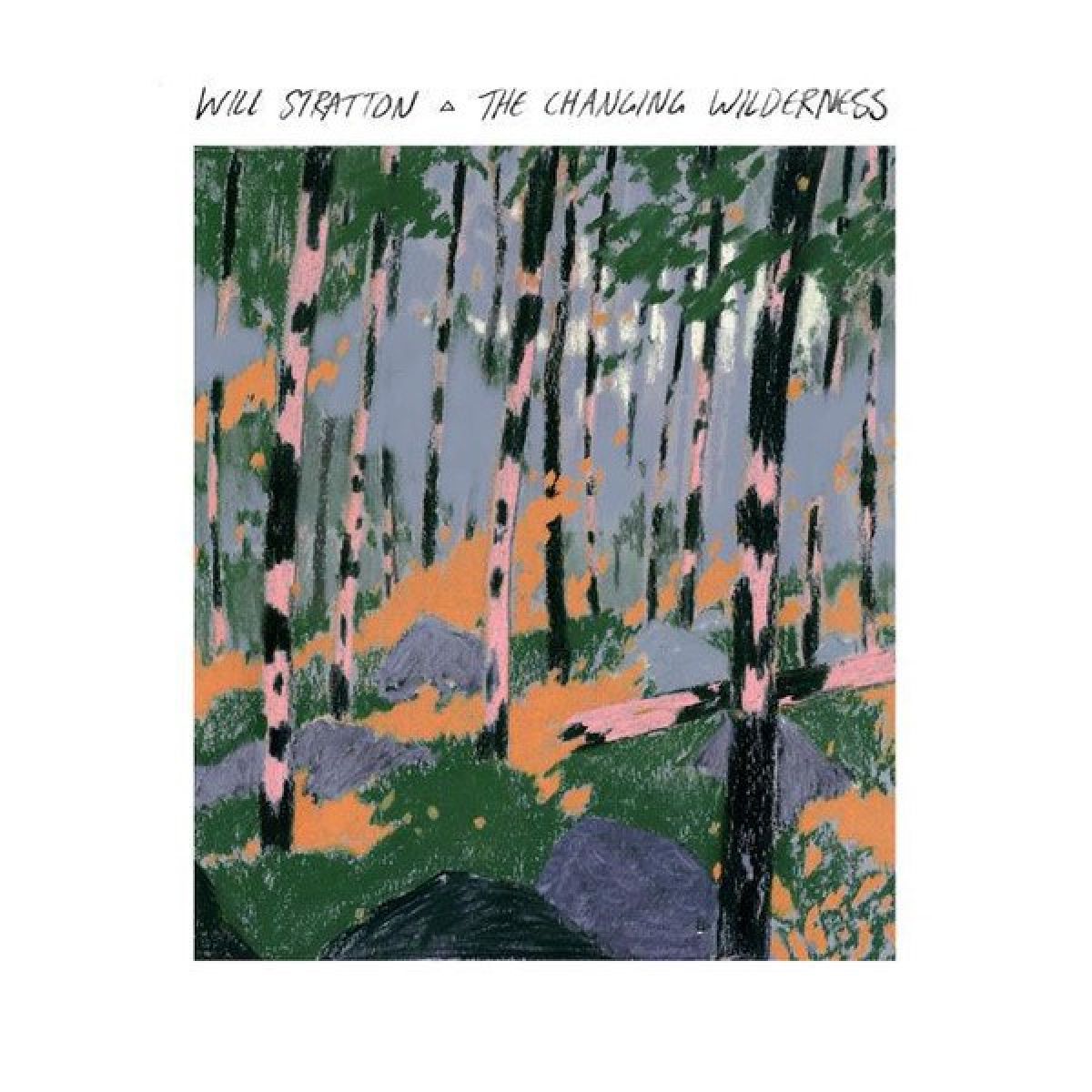 Afbeelding van Will Stratton - The Changing Wilderness
