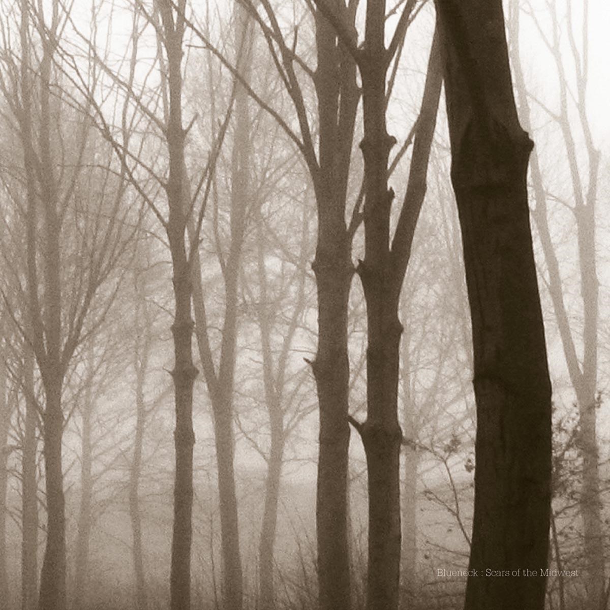 Afbeelding van Blueneck - Scars Of The Midwest