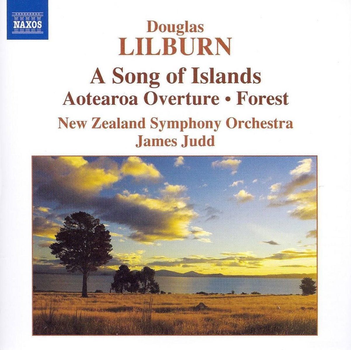 Afbeelding van New Zealand Symphony Orchestra, James Judd - Lilburn: Orchestral Works