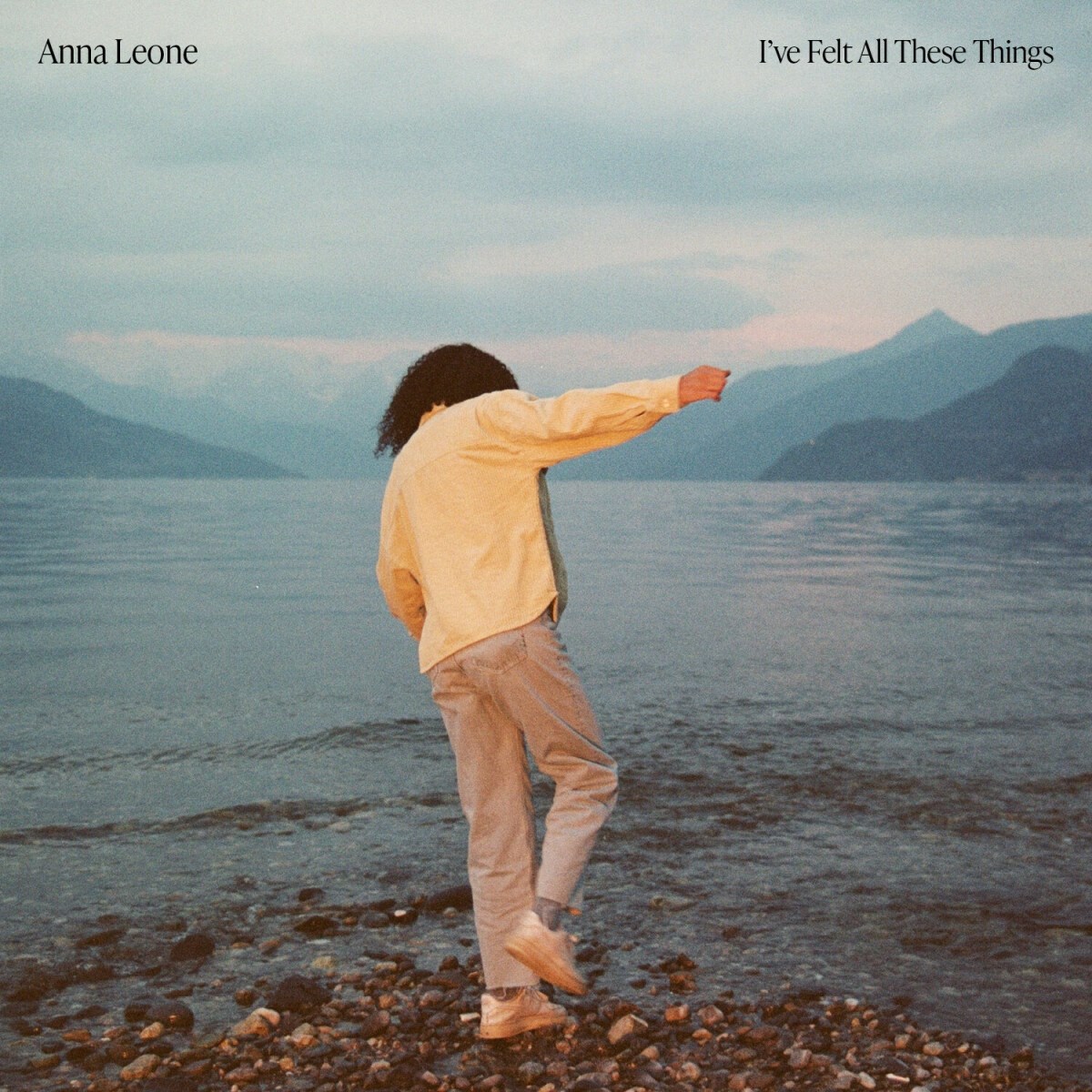 Afbeelding van Anna Leone - I've Felt All These Things