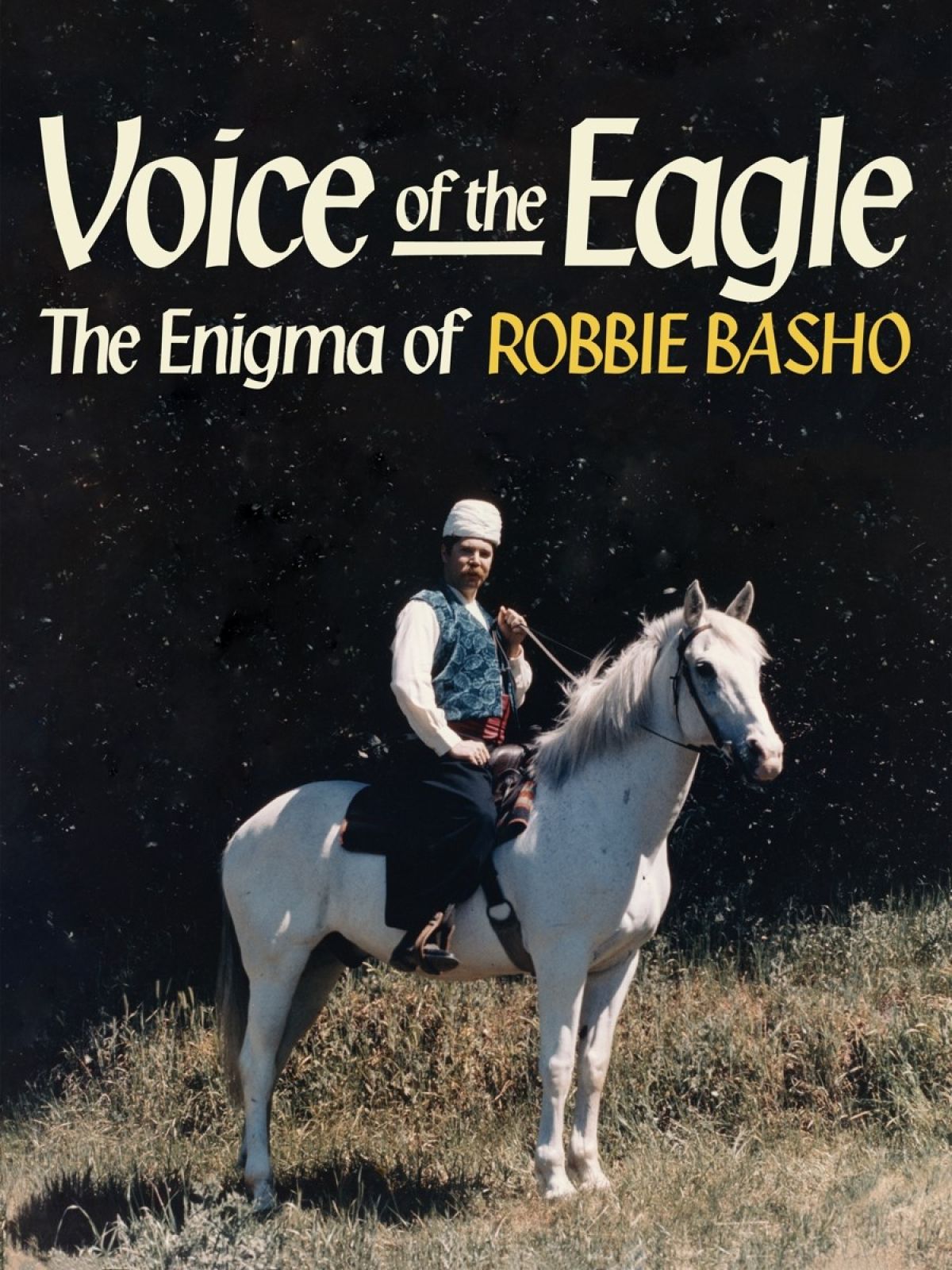 Afbeelding van Robbie Basho - Voice Of The Eagle: The Enigma of Robbie Basho