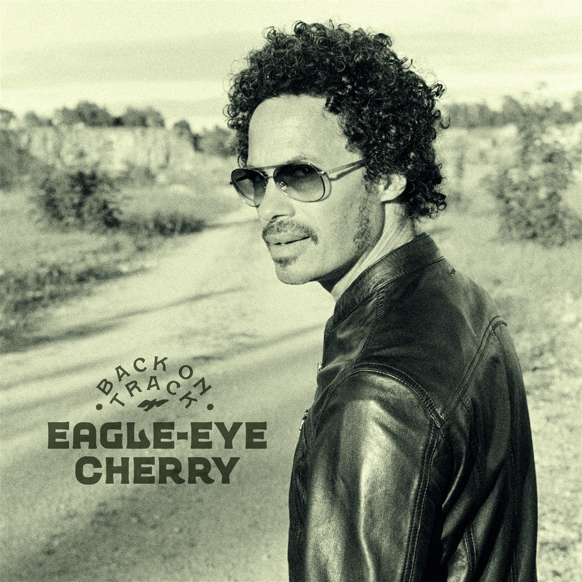 Afbeelding van Eagle-Eye Cherry - Back On Track
