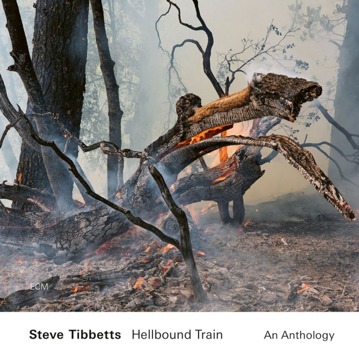 Afbeelding van Steve Tibbetts - Hellbound Train - An Anthology