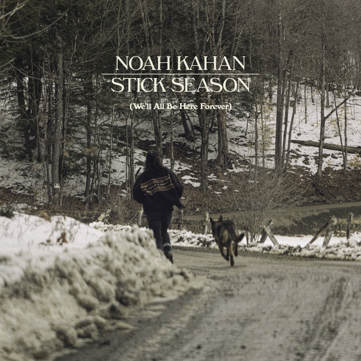 Afbeelding van Noah Kahan - Stick Season
