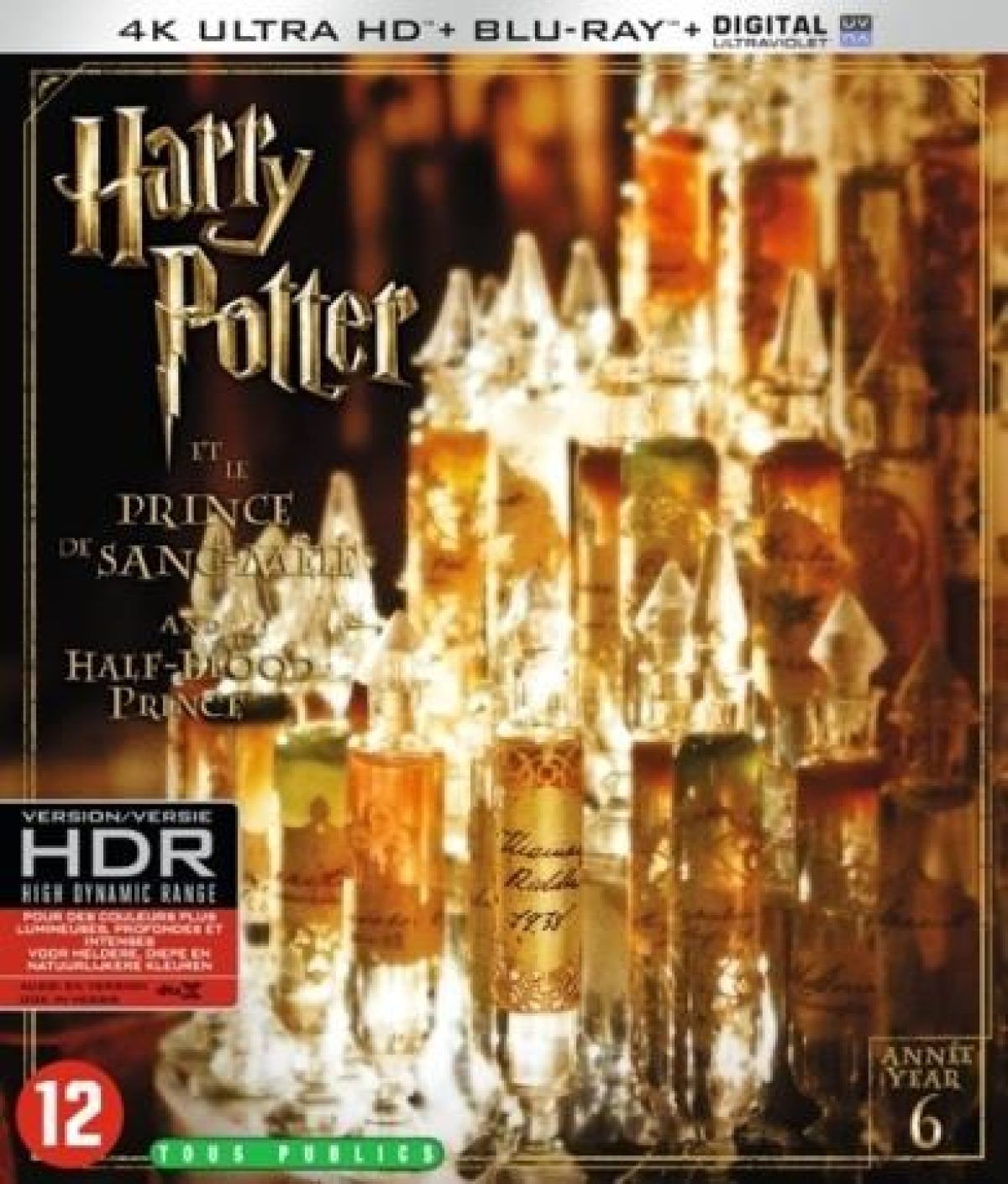 Afbeelding van Harry Potter Year 6 - The Half - Blood Prince