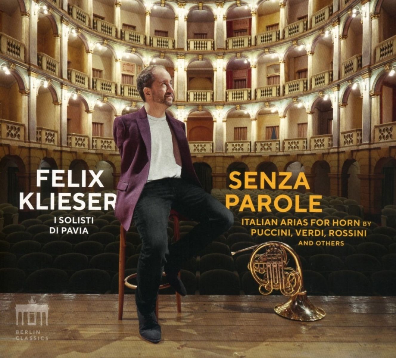 Afbeelding van Felix Klieser - Senza Parole