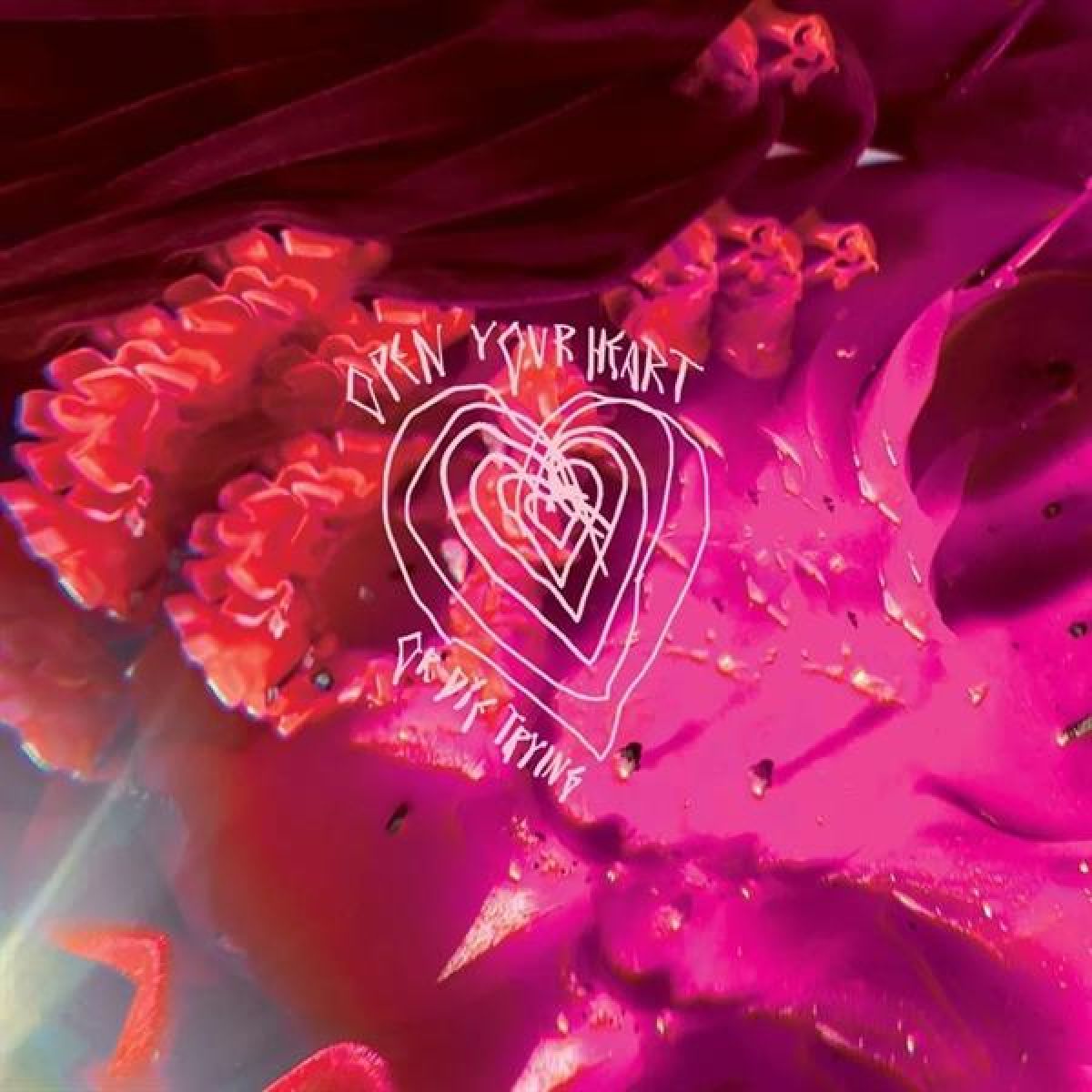 Afbeelding van Open Your Heart or Die Trying