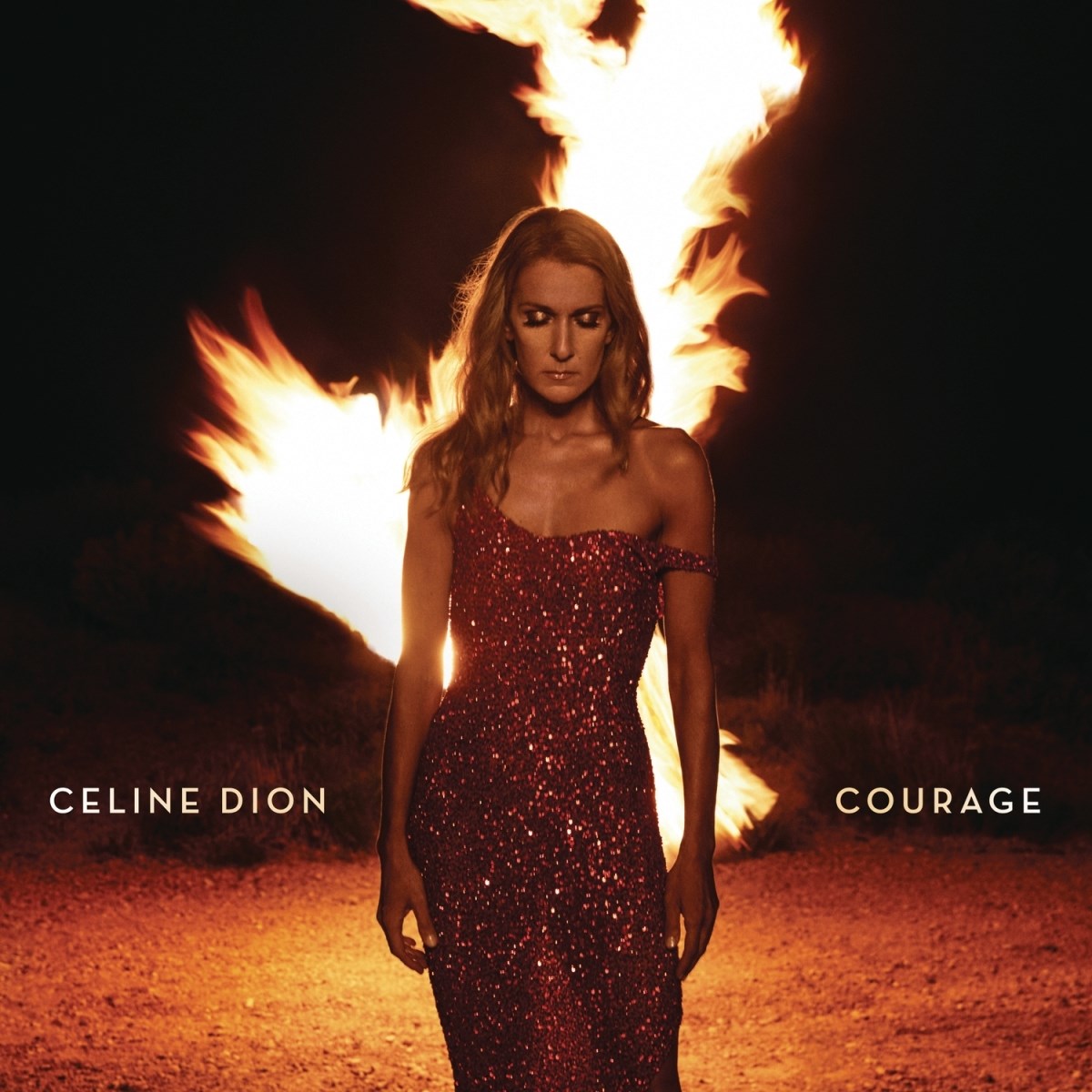 Afbeelding van Céline Dion - Courage
