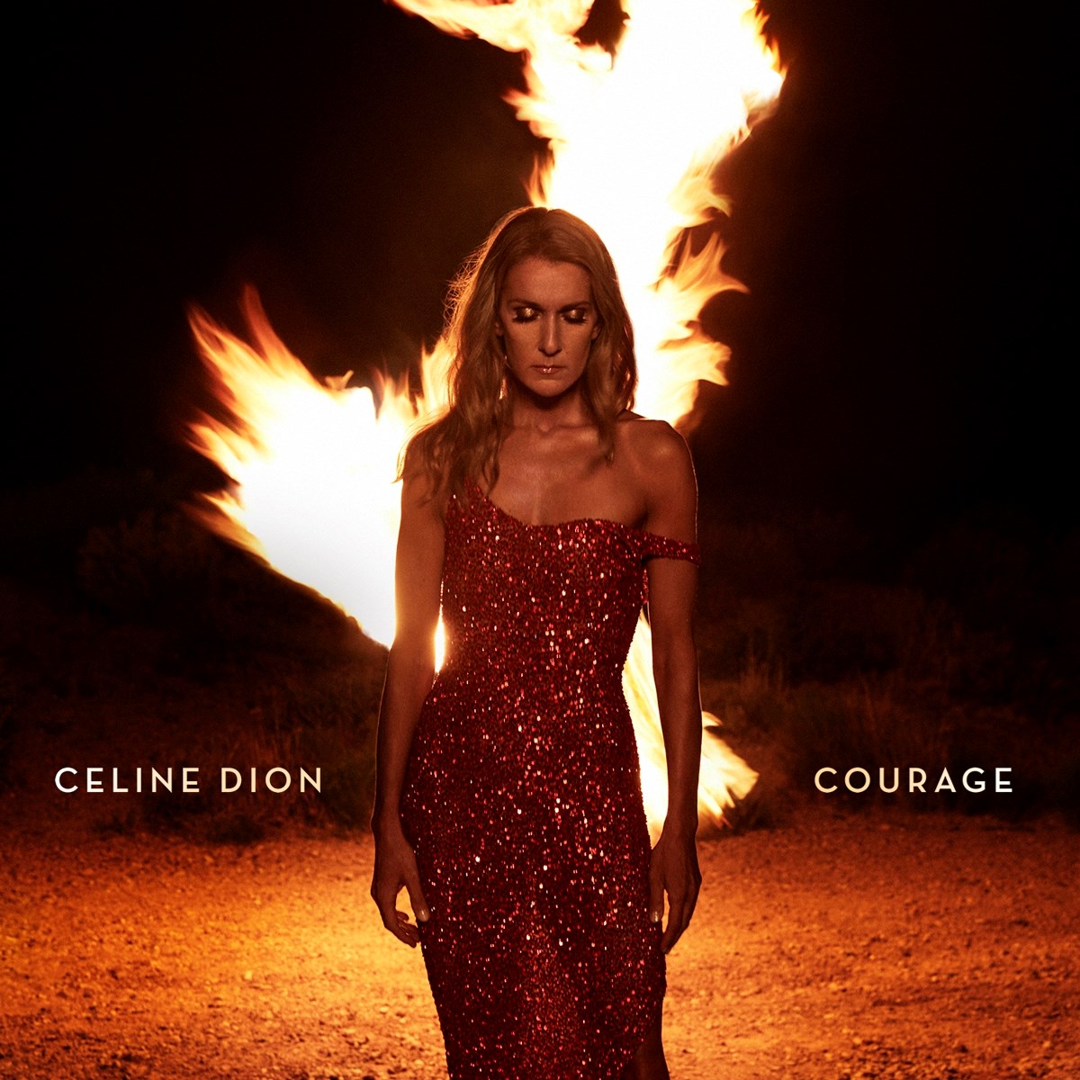 Afbeelding van Céline Dion - Courage